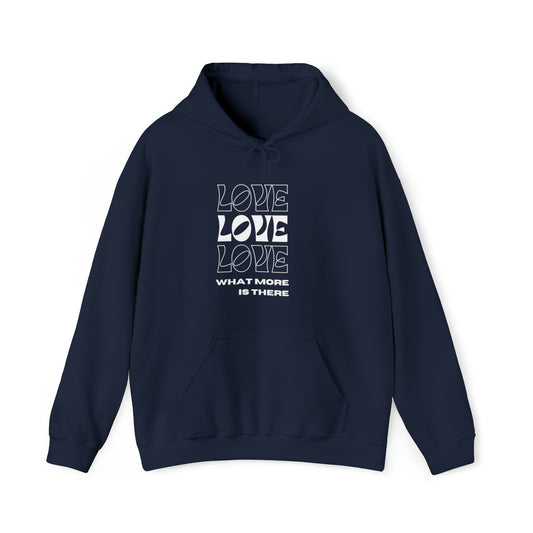 Love What More Is There Unisex DMB Hooded Sweatshirt